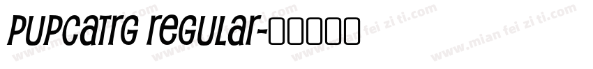 PupcatRg Regular字体转换